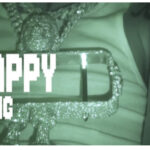 Seyi Vibez – HAPPY SONG