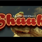 Nashie Zim – SHAAH