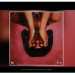 FOLA – you