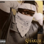 T.I Blaze – My Brother