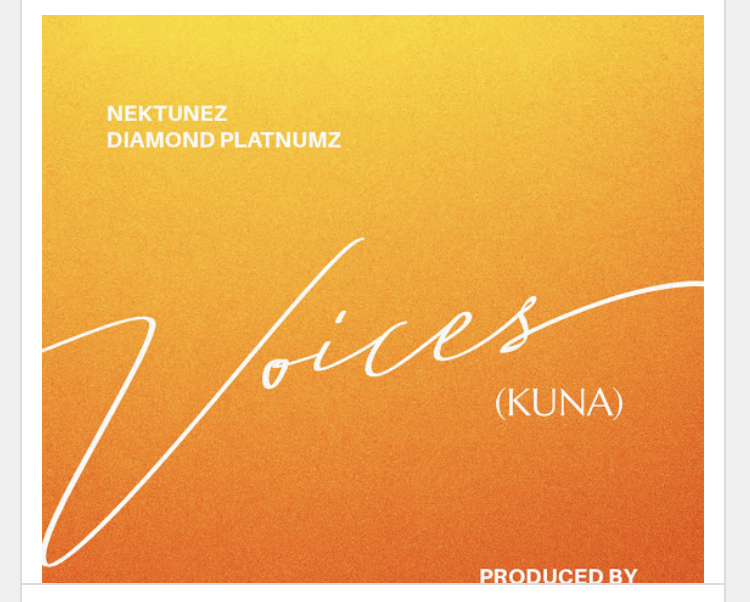 Nektunez – Voices (Kuna) ft. Diamond Platnumz Download