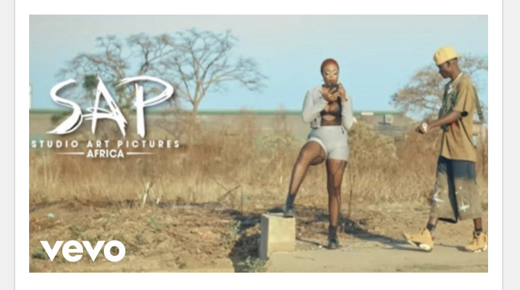 Skillfull – Pedza Navo ft. Levels Chillspot Download
