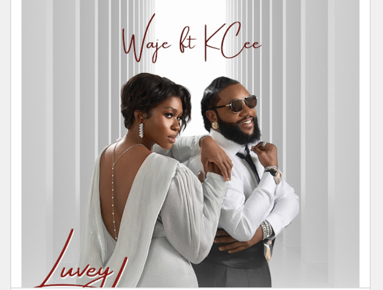 61529E12 F322 4259 B9E6 13F9954C0B43